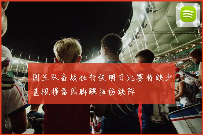 国王队备战独行侠明日比赛将缺少基根穆雷因脚踝扭伤缺阵